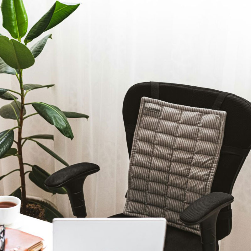 پشتی صندلی برقی نمکی ترمس بهمراه